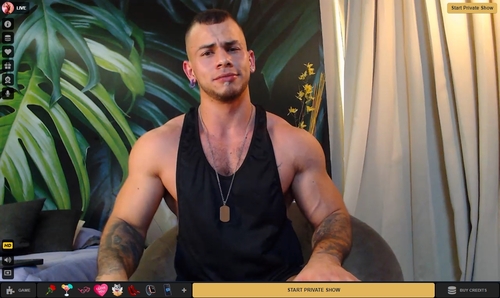 CameraBoys features leading gay cam models skilled in JOI video chat shows