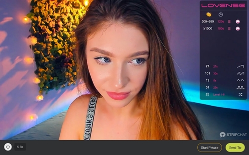 Try a private JOI session in Virtual Reality at Stripchat.com
